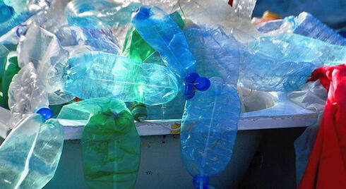 全国回收日:评估亚特兰大在减少浪费方面所做的努力