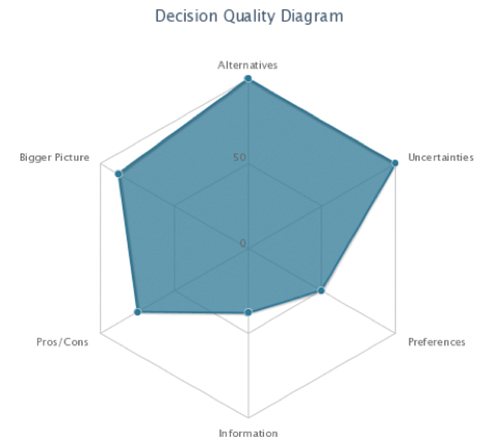 Figure 1: Elements of decision quality represented on a hexagon.